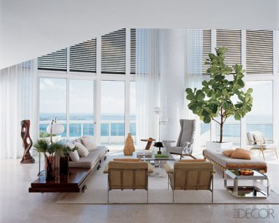 plant-scale-elleDecor-joeSerrins-des